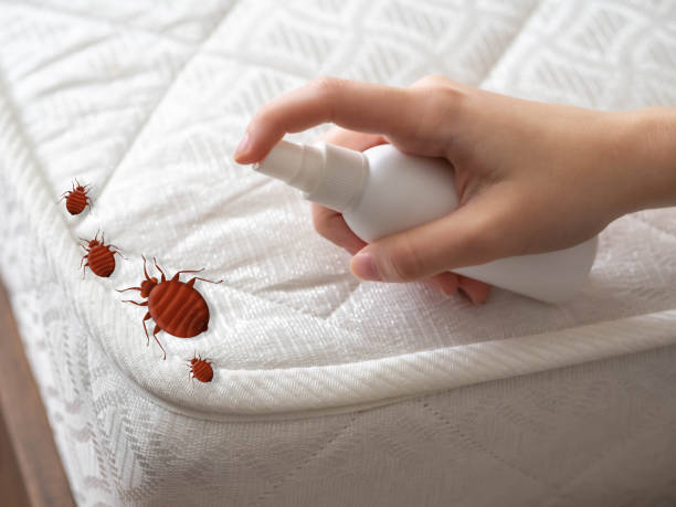 Trusted Southaven, MS Pest Control Experts