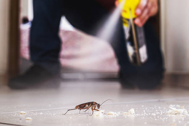 Best Commercial Pest Control Services  in Southaven, MS